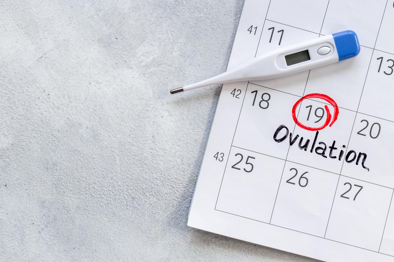 Understanding ovulation and when it happens is key to planning or preventing pregnancy. Read on to learn how you can better estimate your fertile window and time of ovulation.