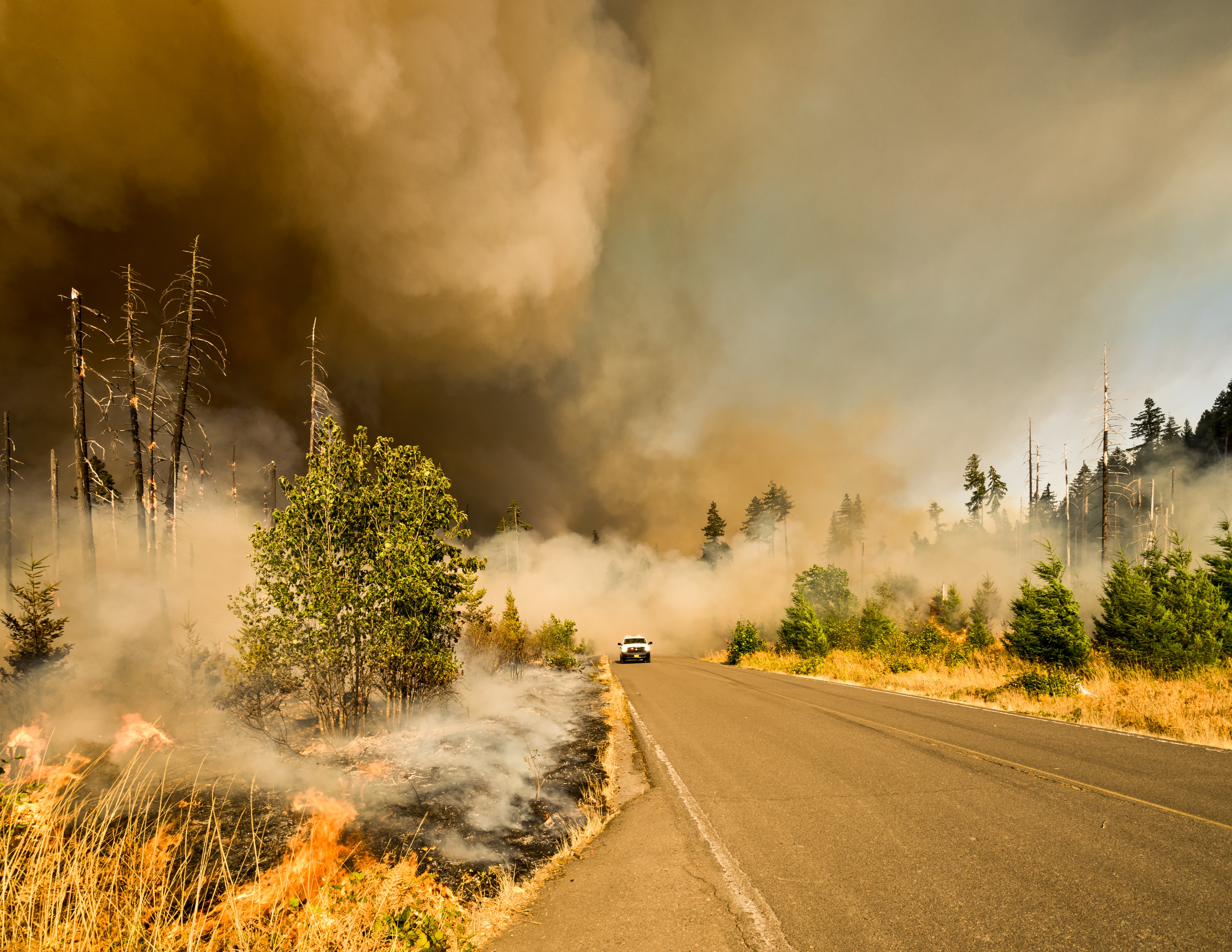 In order to safeguard ourselves and our loved ones, it is crucial to take proactive measures to protect against wildfire smoke. We address some frequently-asked questions about air quality, wildfire smoke health risks.